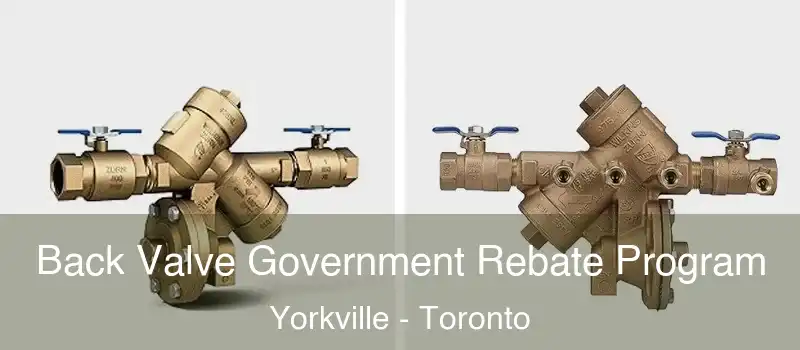 Back Valve Government Rebate Program Yorkville - Toronto