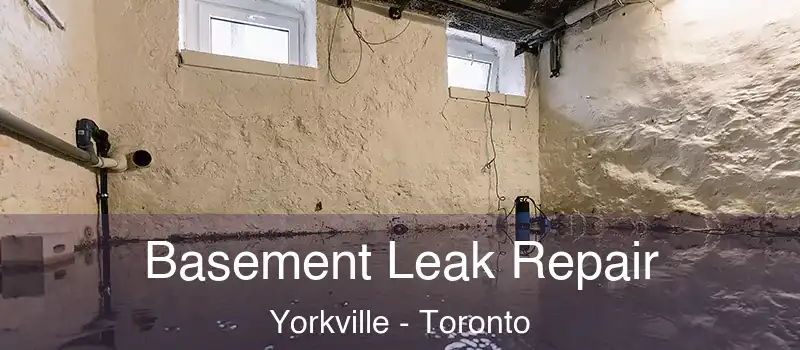 Basement Leak Repair Yorkville - Toronto