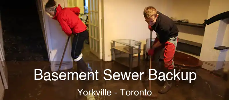 Basement Sewer Backup Yorkville - Toronto