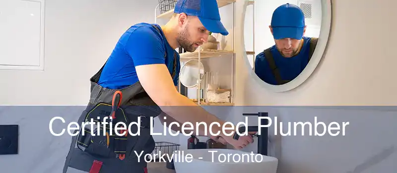 Certified Licenced Plumber Yorkville - Toronto
