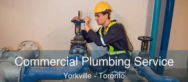  Commercial Plumbing Service Yorkville - Toronto