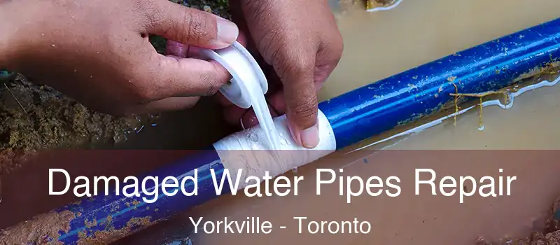  Damaged Water Pipes Repair Yorkville - Toronto