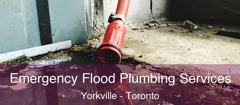  Emergency Flood Plumbing Services Yorkville - Toronto