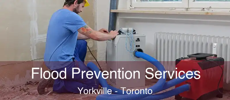  Flood Prevention Services Yorkville - Toronto