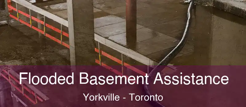  Flooded Basement Assistance Yorkville - Toronto