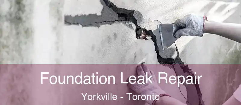 Foundation Leak Repair Yorkville - Toronto