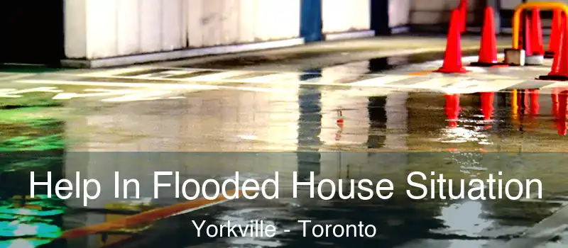  Help In Flooded House Situation Yorkville - Toronto