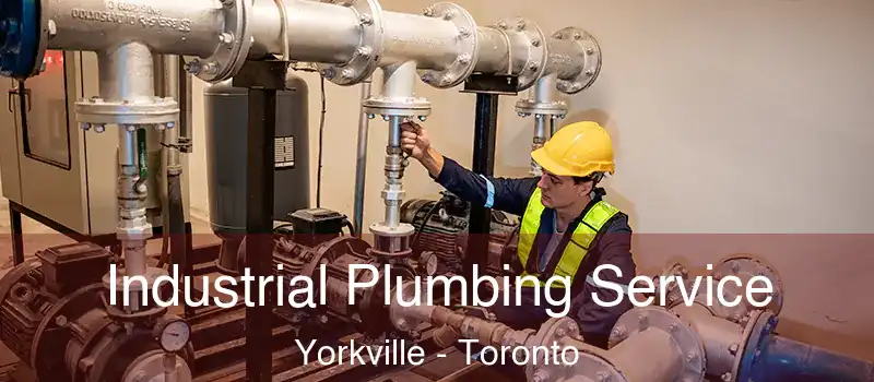  Industrial Plumbing Service Yorkville - Toronto