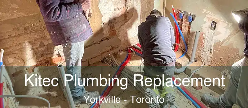  Kitec Plumbing Replacement Yorkville - Toronto