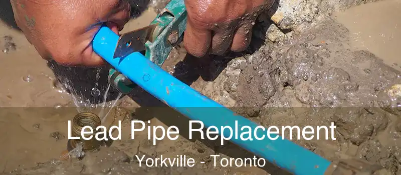  Lead Pipe Replacement Yorkville - Toronto