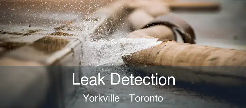 Leak Detection Yorkville - Toronto