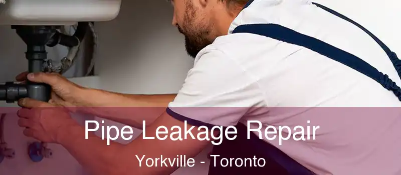Pipe Leakage Repair Yorkville - Toronto