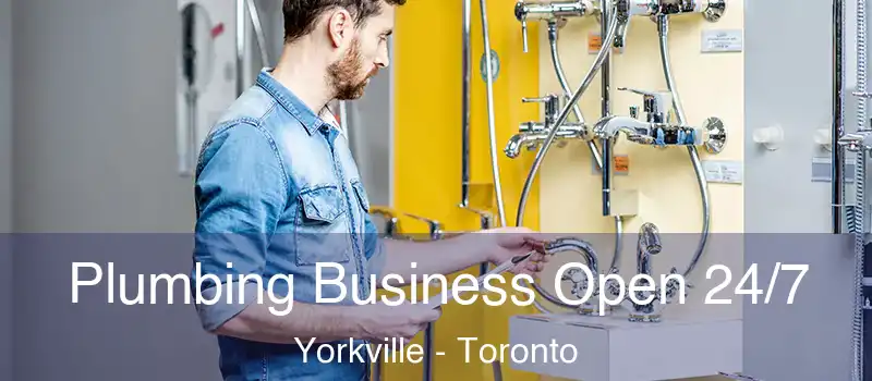  Plumbing Business Open 24/7 Yorkville - Toronto