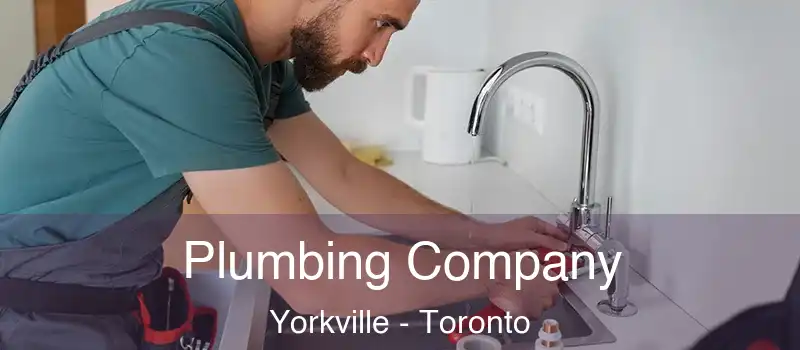  Plumbing Company Yorkville - Toronto