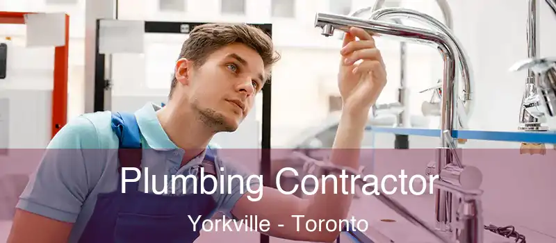  Plumbing Contractor Yorkville - Toronto