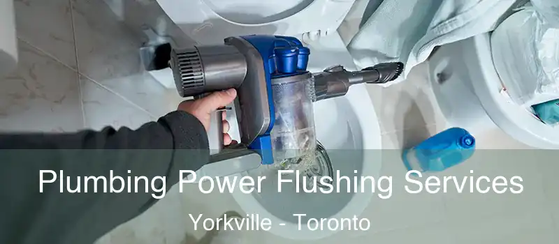  Plumbing Power Flushing Services Yorkville - Toronto