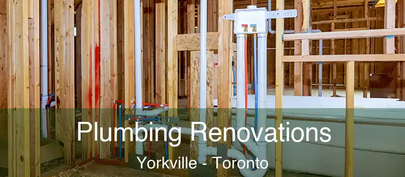  Plumbing Renovations Yorkville - Toronto