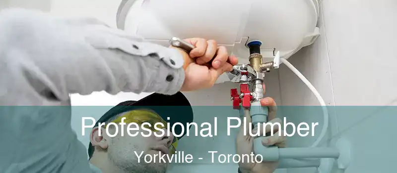  Professional Plumber Yorkville - Toronto