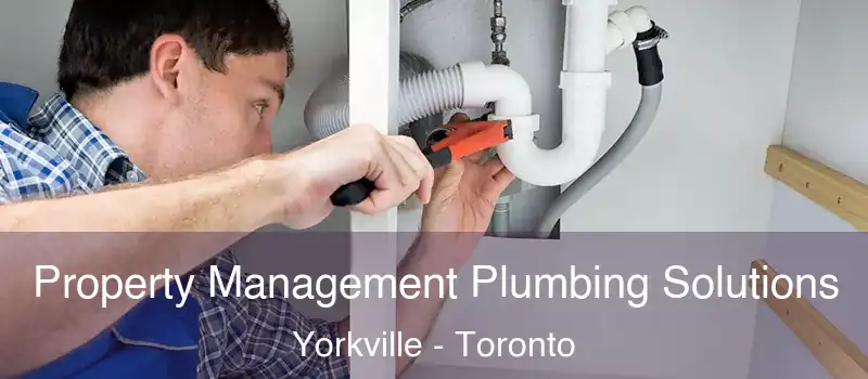  Property Management Plumbing Solutions Yorkville - Toronto