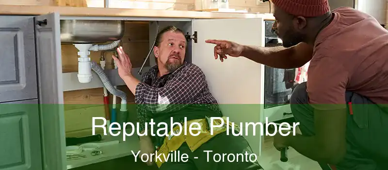 Reputable Plumber Yorkville - Toronto