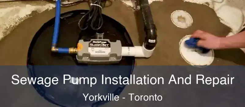  Sewage Pump Installation And Repair Yorkville - Toronto