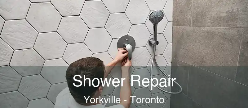  Shower Repair Yorkville - Toronto