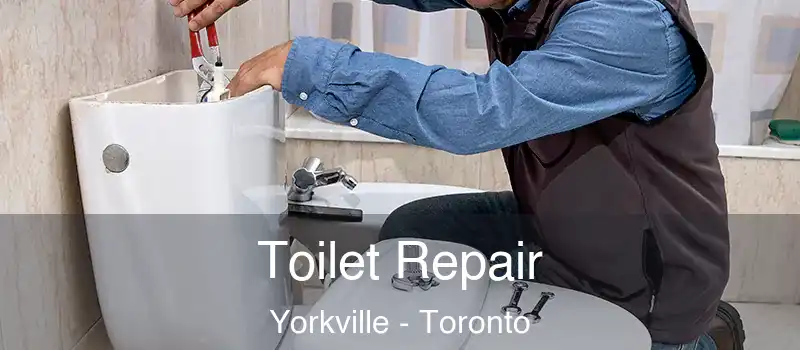  Toilet Repair Yorkville - Toronto