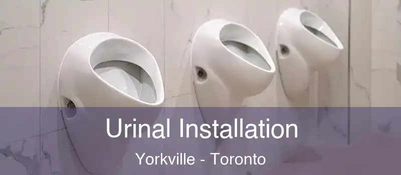 Urinal Installation Yorkville - Toronto