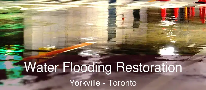 Water Flooding Restoration Yorkville - Toronto