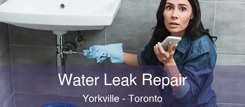  Water Leak Repair Yorkville - Toronto