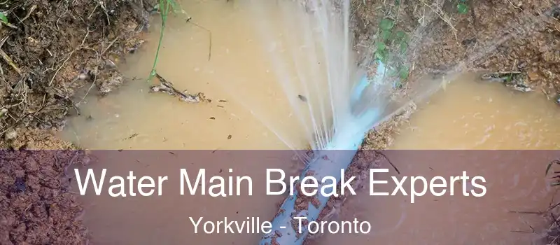 Water Main Break Experts Yorkville - Toronto